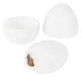 Masturbační vajíčko TENGA EGG - Shiny Pride