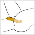 Your New Favorite G-Spot Vibrátor - žlutý